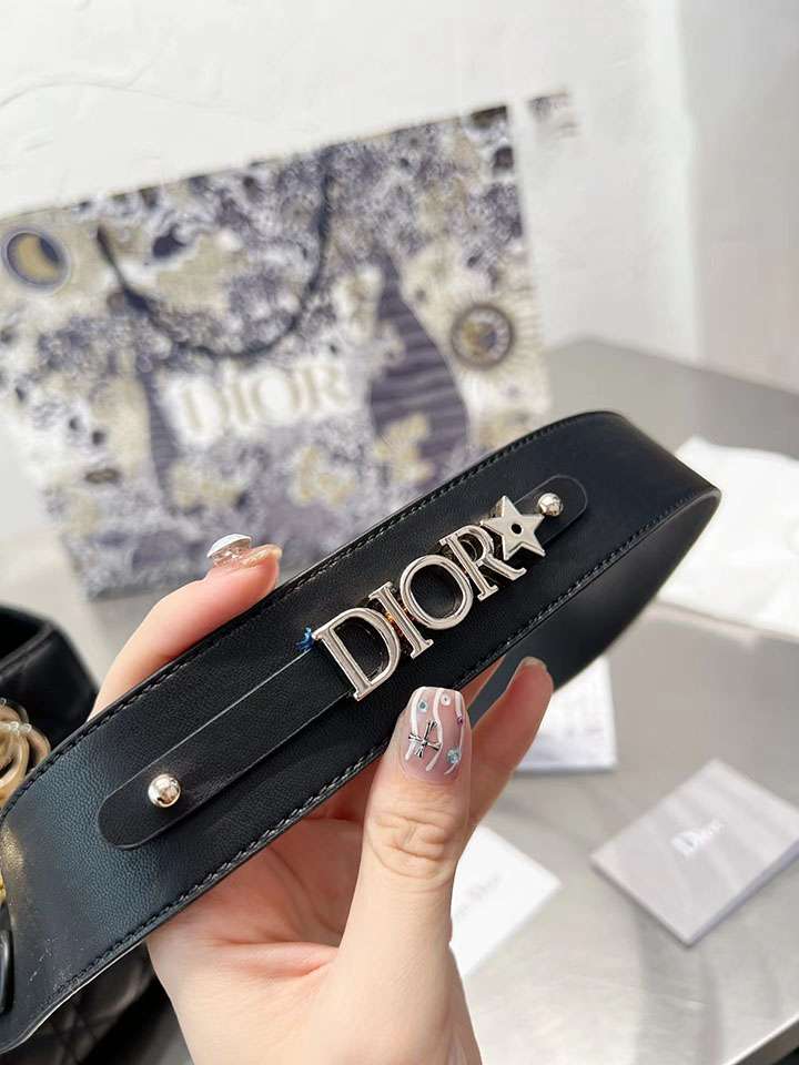 クロスボディ ラグジュアリー Dior